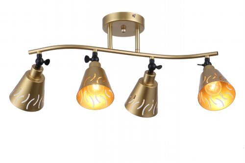 ФП-GH50112/4 FGD+BK (1) светильник потолочный [01096373] ФП-GH50112/4 FGD+BK (1) светильник потолочный