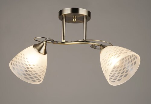 ВР-N4022/2 AB (10) светильник потолочный [01098691] ВР-N4022/2 AB (10) светильник потолочный