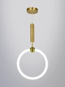 Х20772-300 BRASS LED 30W 4000K пульт (5) светильни [01105973]