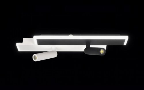 Х20659-425-2 WT+BK LED25W 3000-4000-6000K (10) све [01104278] Х20659-425-2 WT+BK LED25W 3000-4000-6000K (10) светильник потолочный