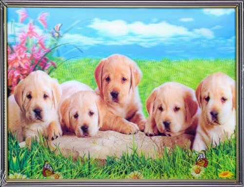 30х40 17 - Картина 5D [01109915] 30х40 17 - Картина 5D