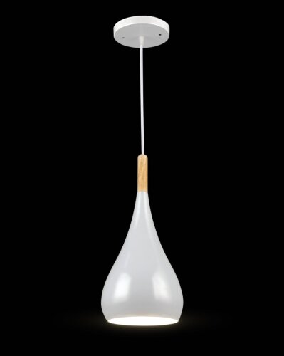 ВР-N5651/1H WT (10) светильник потолочный [01107560] ВР-N5651/1H WT (10) светильник потолочный