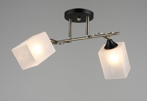 ВР-N4853/2 AB+BK (10) светильник потолочный [01101643] ВР-N4853/2 AB+BK (10) светильник потолочный