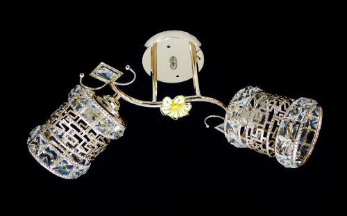 ДС9638A/2 FGD (6) светильник потолочный [01098050] ДС9638A/2 FGD (6) светильник потолочный