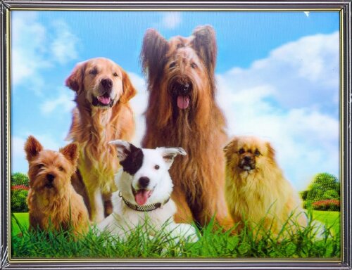 30х40 18 - Картина 5D [01109916] 30х40 18 - Картина 5D