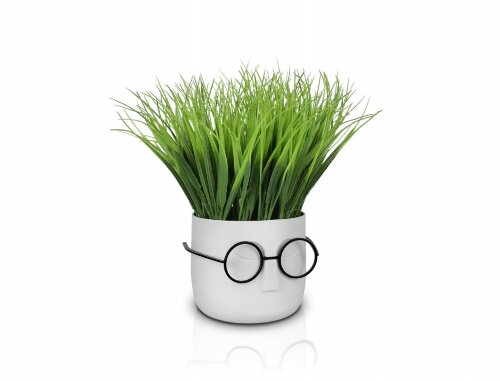 Осока в горшке-очки, размер: высота 25см., ширина [01103918] Осока в горшке-очки, размер: высота 25см., ширина 25 см., материал: пластик РУЧНАЯ РАБОТА