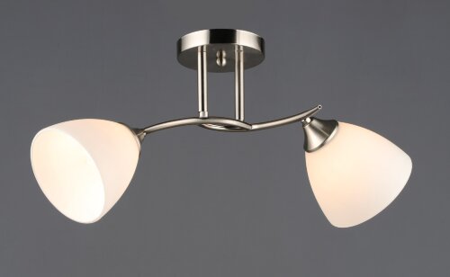 ВР-N6681/2 SN L490*W180*H245мм (10) светильник пот [01109582] ВР-N6681/2 SN L490*W180*H245мм (10) светильник потолочный