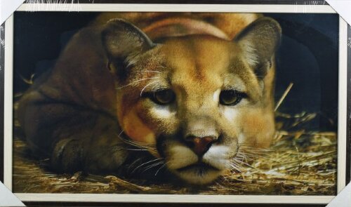 60*50 9 - Репродукция картины [01088325] 60*50 9 - Репродукция картины