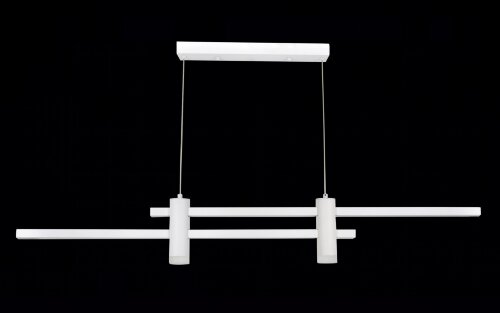 Х-D20788/2 WT LED20W 3000-4000-6000K Dimmer (1) св [01104196] Х-D20788/2 WT LED20W 3000-4000-6000K Dimmer (1) светильник потолочный