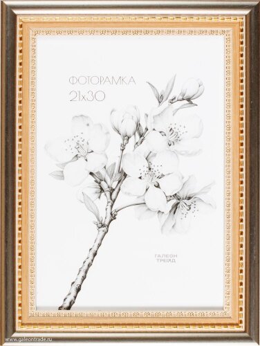 138321 (в уп.10шт.) - Фоторамка 21x30см. /KS4020-3 [01110991] 138321 (в уп.10шт.) - Фоторамка 21x30см. /KS4020-3/, материал: пластик, стекло, двп.