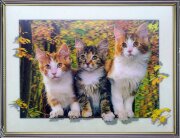 30х40 10 - Картина 5D [01109908]