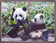 30х40 34 - Картина 5D [01110518]