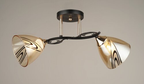 ВР-N4084/2 BK+FGD (10) светильник потолочный [01098770] ВР-N4084/2 BK+FGD (10) светильник потолочный