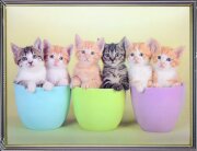 30х40 11 - Картина 5D [01109909]