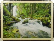 60*50 31 - Репродукция картины [01088346]