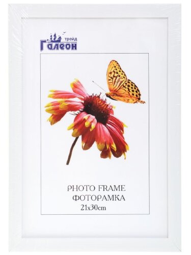 131751 (в уп.10шт.) - Фоторамка 21x30см. /2004A-01 [01095186] 131751 (в уп.10шт.) - Фоторамка 21x30см. /2004A-012AL/, материал: пластик, стекло, двп.