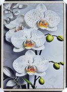 50*70 картина с камнями 57 [01111331]