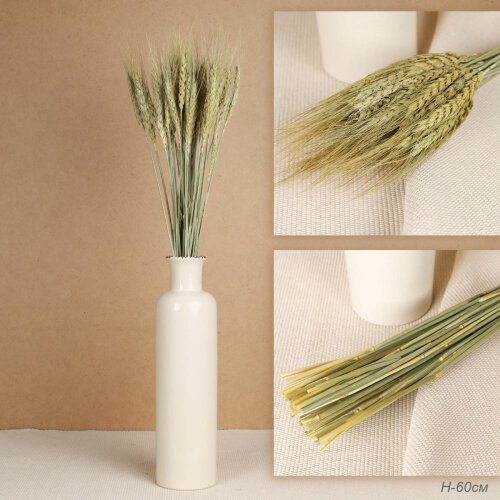 731854 (в уп.150шт.) - Сухоцвет, набор 25шт. H=60с [01106950] 731854 (в уп.150шт.) - Сухоцвет, набор 25шт. H=60см Пшеница / F-077 /