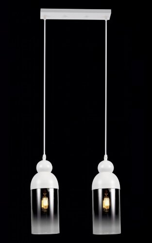 МС-XA3141/2 WH (2) светильник потолочный [01101812] МС-XA3141/2 WH (2) светильник потолочный