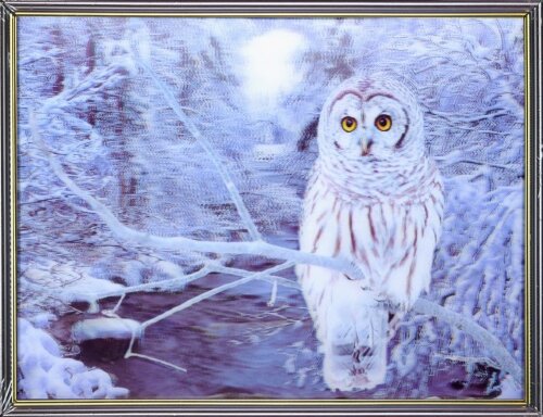 30х40 15 - Картина 5D [01109913] 30х40 15 - Картина 5D