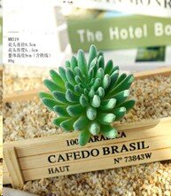 682812 (в уп.100шт.) - Суккулент искусственный / G [01102592] 682812 (в уп.100шт.) - Суккулент искусственный / GN117 /, материал: пластик.